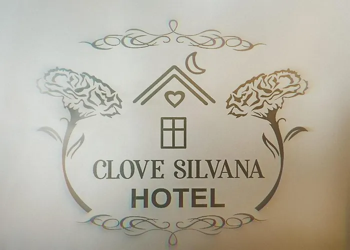 Hotel Clove Silvana Istanbul