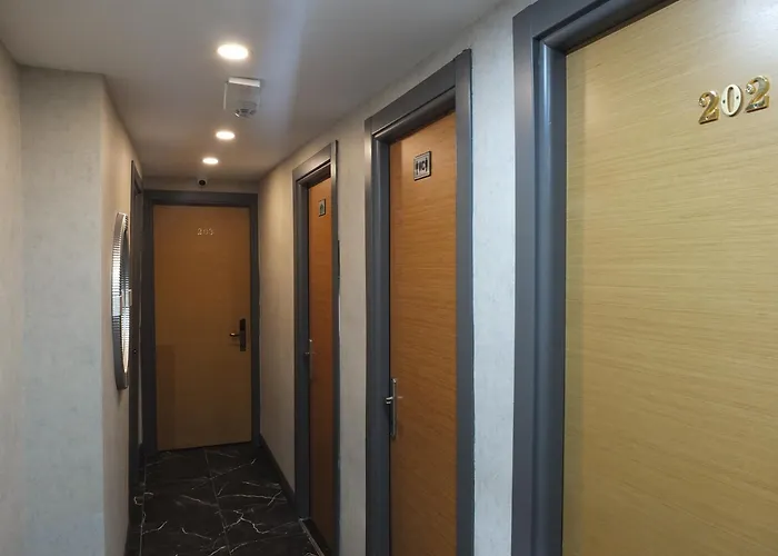 Clove Silvana Стамбул