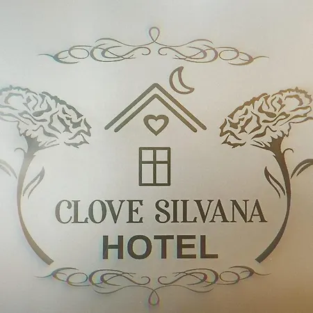 Hotel Clove Silvana Istambul